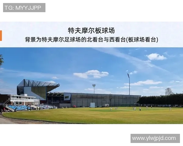 英超球队转让价格的市场评估与影响
