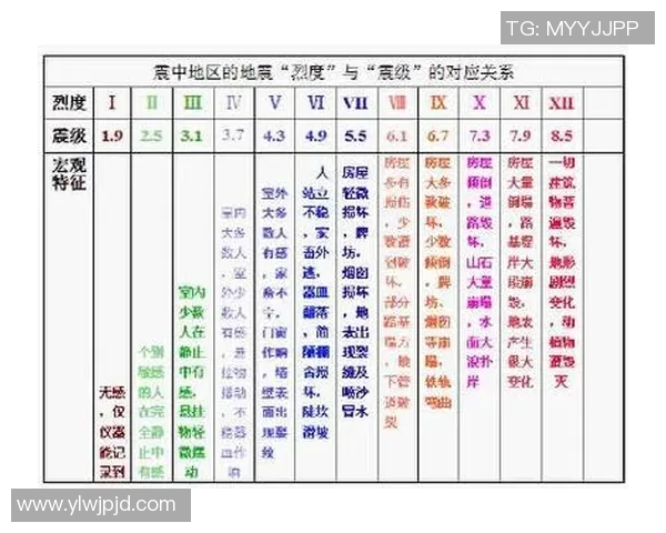 西安排球队运营揭秘:排球深度分析与策略探讨 西安排球队运营揭秘:排球深度分析与策略探讨