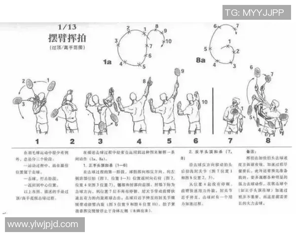 从零基础到高手之路羽毛球技巧与训练全方位指南 从零基础到高手之路羽毛球技巧与训练全方位指南